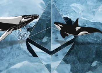 Ethereum Balinası Milyonları Uyandırdı