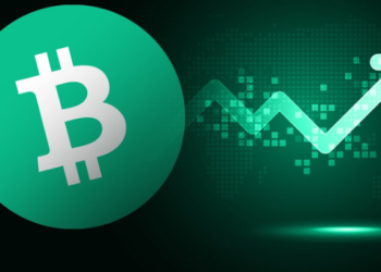 Bitcoin Cash (BCH) Rallisinin Arkasında Temel Nedenler