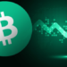 Bitcoin Cash (BCH) Rallisinin Arkasında Temel Nedenler