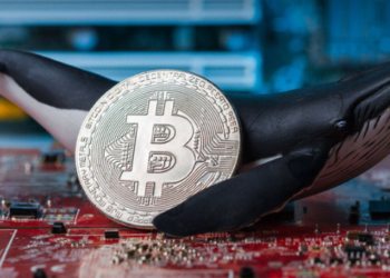 Bitcoin Balinaları Bu Borsalardan Takip Edilmeli