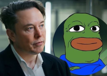 Elon Musk Hesabı Askıya Aldı, Token Fiyatı Çakıldı