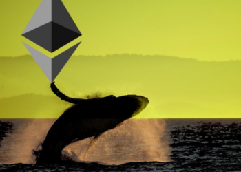 Devasa Ethereum Balinaları Tüm Zamanların En Yüksek Seviyesini Kırıyor