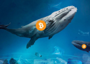 10 Yılın Ardından Bitcoin Balinası Harekete Geçti