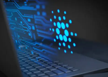 Charles Hoskinson, SEC'in "ADA Menkul Kıymettir" İddialarına Karşı Çıktı!