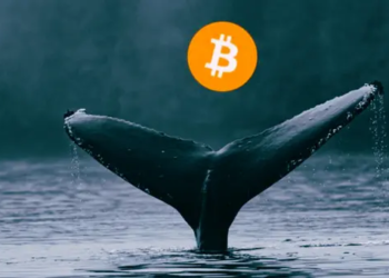 Bitcoin Balinaları Düşüşü Kaçırmadı; 3.5 Milyar Dolarlık Hamle Geldi