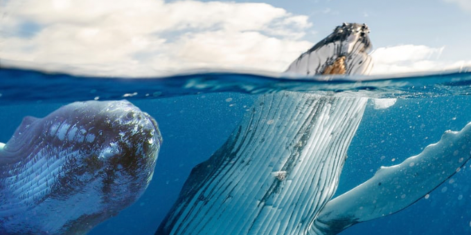 Ethereum (ETH) Borsa Girişleri 2 Ayın Zirvesinde!