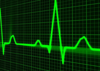 Cardano (ADA) Kilit Fiyat Seviyesini Geri Aldı; Sırada Ne Var?