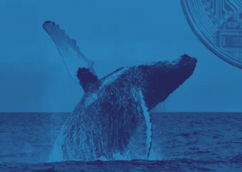 Bitcoin Balinalarının Aylık Birikimi Dikkatleri Çekiyor; "Hodl Devam"