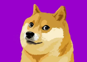 Dogecoin Cephesinde Güzel Haberler Var; Dogecoin Adreslerindeki Artışlar Umutları Tazeliyor