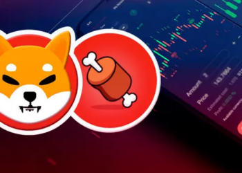 Shiba Inu Ekosisteminde Lansman Heyecanı; Bu Altcoin Haberden Sonra Harekete Geçti