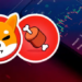 Shiba Inu Ekosisteminde Lansman Heyecanı; Bu Altcoin Haberden Sonra Harekete Geçti