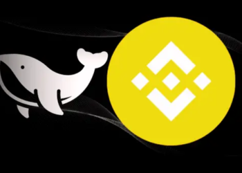 Binance'in Yeni Altcoin Projesini Duyan Balinalar Harekete Geçti