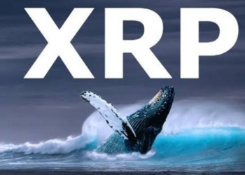 Borsalar Yeniden XRP Listeledi; Balinalar Harekete Geçti!