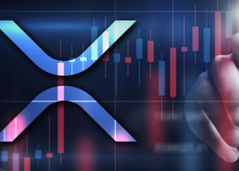 XRP Fiyatı Dev Borsada 50 Dolara Fırladı!
