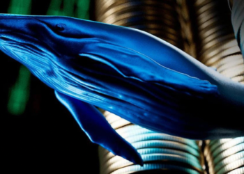 Balinaların Aktif Olarak Satın Aldığı Dört Kripto Para