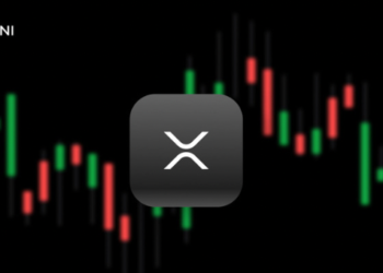 Gemini Borsasından Beklenen XRP Duyurusu Geldi!