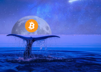 Bitcoin Balinaları Hareket Halinde! Veriler Rekor Seviyeye Ulaştı