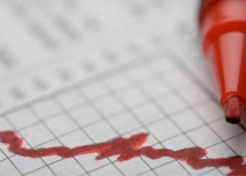 Ünlü Analist Shiba Inu için %44'lük Ralli İhtimalini Dillendirdi