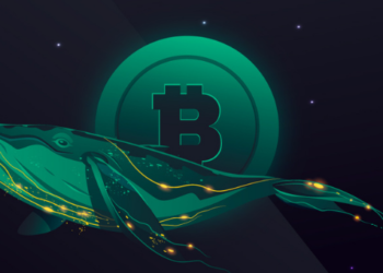 Balinalar, Grayscale SEC Haberlerinden Hemen Önce 388 Milyon Dolarlık Bitcoin Aldı