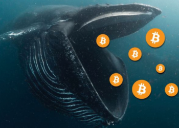 Üç Ay İçinde 3 Milyar Dolarlık Bitcoin Satın Aldı