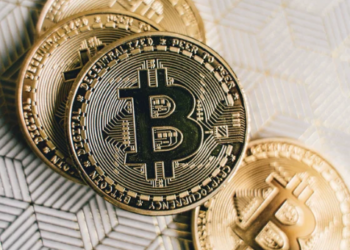 Bitfinex Raporu: Uzun Vadeli Bitcoin Yatırımcıları Rekor Kırdı