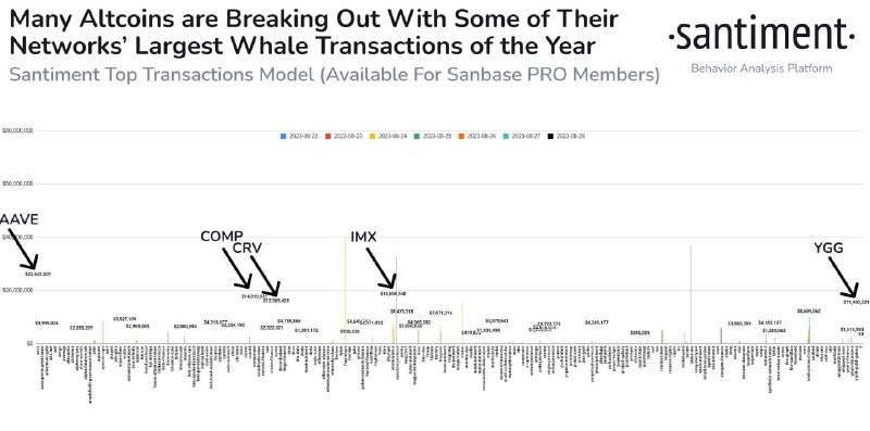 Santiment, Balina Faaliyeti En İyi Olan 5 Altcoini Açıkladı