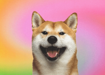 Shibarium Duyurusu Bugün mü? Topluluğun İlgisi Yaklaşan Shiba Inu Cephesinde