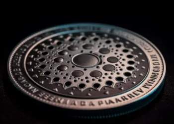 Cardano Balina Birikimi Bir Yılın En Yüksek Seviyesinde