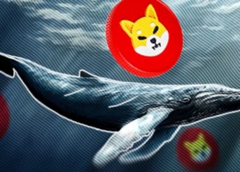 Devasa SHIB balinaları Devrede; Shibarium Lansmanı Ardından Neler Oluyor?