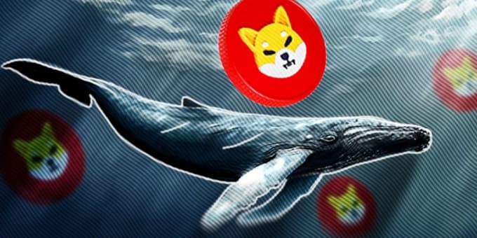 Devasa SHIB balinaları Devrede; Shibarium Lansmanı Ardından Neler Oluyor?