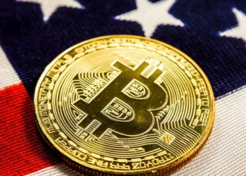 ABD Hükümeti Beşinci Büyük Bitcoin Cüzdanını mı Kontrol Ediyor?