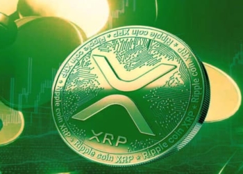 XRP için Önemli Hafta; İşte İzlenecek 2 Önemli Gelişme
