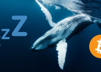 Bitcoin Balinası 6 Yıl Sonra Uyandı.