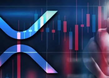 XRP, İşlem Hacminde Solana ve Dogecoin'i Geride Bırakarak ABD Kripto Para Borsalarına Hakim Oluyor