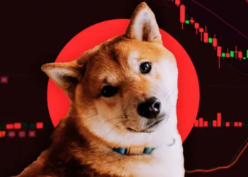 Shiba Inu Cephesinde Kırmızı Alarm! Neler Oluyor?