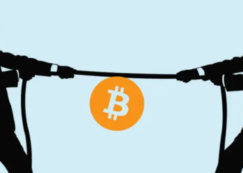 "Kurumlar Bitcoin Arzının Sadece %5'i İçin Mücadele Edecek"