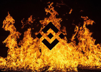 Binance CEO’su CZ Duyurdu: Yakım Yapacağız