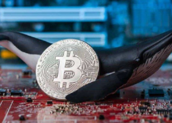 459 Dolardan Bitcoin Alan Balina Uyandı