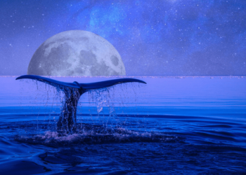 Yine Bir Uyuyan Satoshi Dönemi Bitcoin Balinası Uyandı