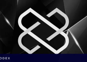 Ayda Yaklaşık %530 Fiyat Artışı Geldi; Loom 6 Yılın Zirvesinde!