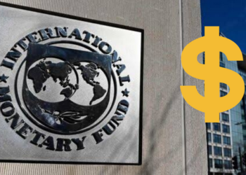 IMF’den Şok Eden Dolar Kuru Tahmini
