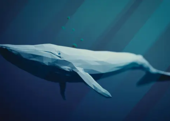 Bitcoin Balinaları 1 Ekim'den Beri Ciddi Miktarda Biriktiriyor; Beklentiler Ne?