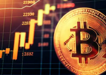 BTC Hakimiyeti %51'i Geçerek İki Yılın En Yüksek Seviyesine Yaklaştı
