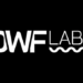 DWF Labs Hangi Altcoin Projelerine Yatırım Yapıyor?