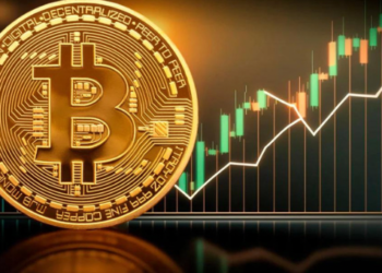 Bitcoin Yükselişinin Arkasındaki Sebep