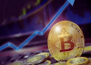 Bitcoin Fiyat Artışı Geleneksel Trendlerle Çelişiyor