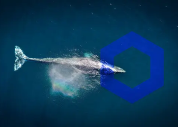 LINK Yılın En Yüksek Balina Faaliyetini Yaşıyor