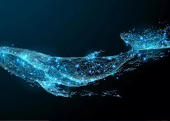 Şüpheli Balina Binance'ten 51 Milyon Dolar Değerindeki Kriptoyu Çekti