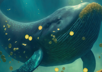 Borsalarda Artan Kripto Balina Etkileşimi Dikkat Çekiyor: CryptoQuant Raporu