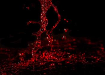 Kripto Kan Banyosu: 213 Milyon Dolarlık Long Pozisyon Yok Oldu